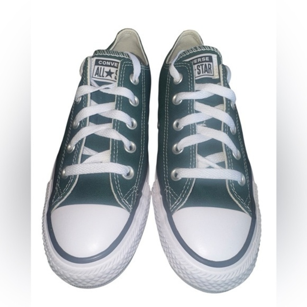 ❇️NWT❇️Converse All Star CTAS Dragon Scale Ox